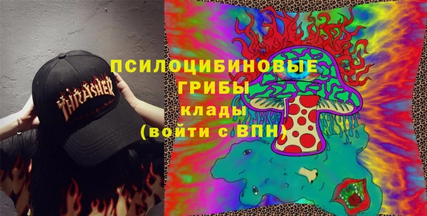 крисы Володарск