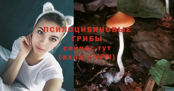 крисы Верея