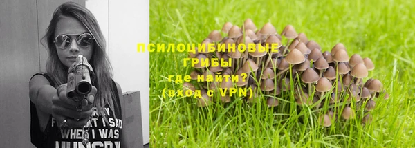 крисы Верея
