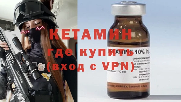 крисы Верея