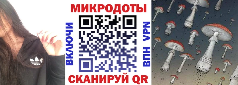 Галлюциногенные грибы Psilocybe  Игра 
